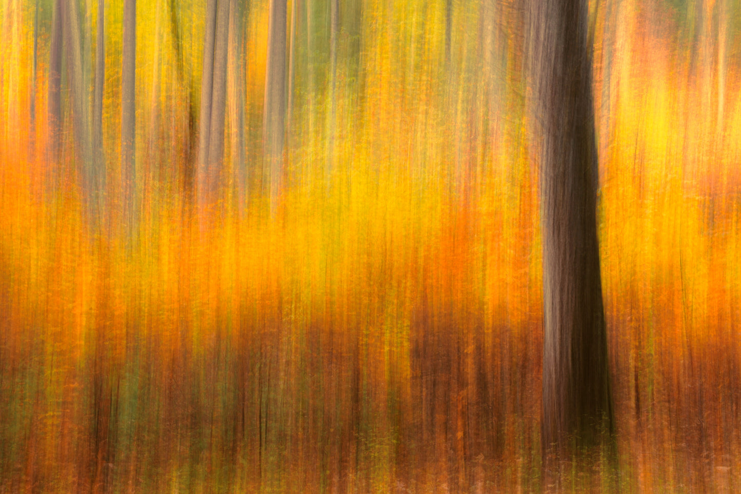 Abstract art print vibrant colors vertical lines resilience modern wall art contemporary photography