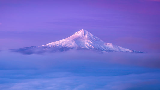 Snow-capped mountain peak emerging from a sea of clouds with a purple and pink sky.  Sunrise hike above the fog greeting card, Columbia River Gorge Oregon 