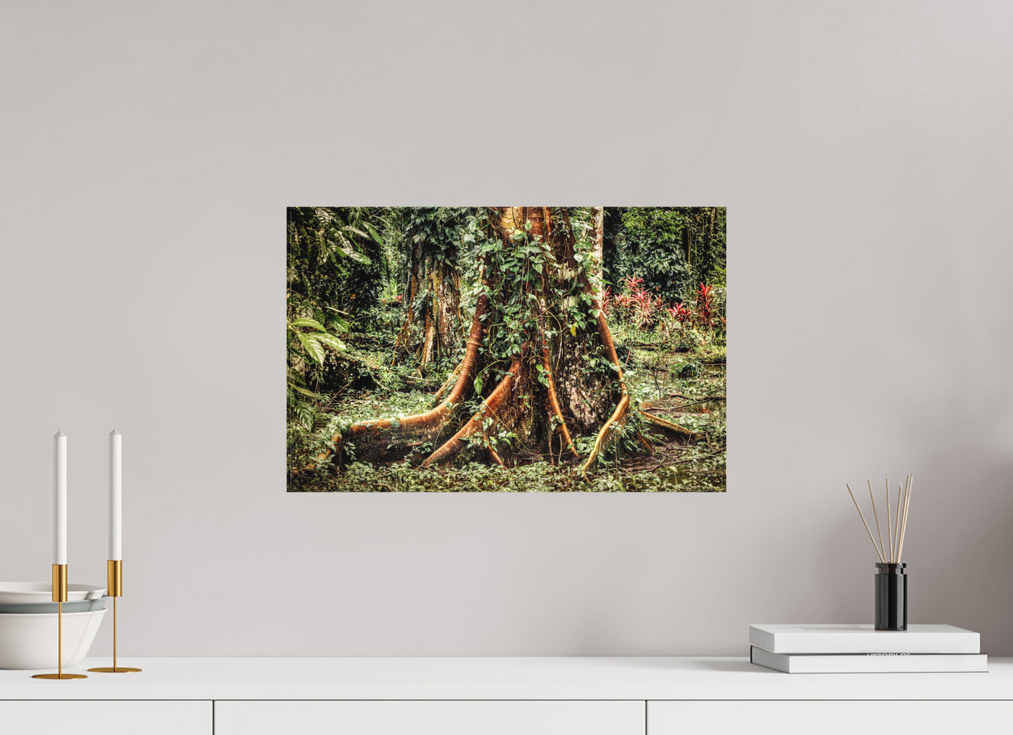 18.7 x 12″, Matte Canvas on Stretcher Frame Costa Rica
