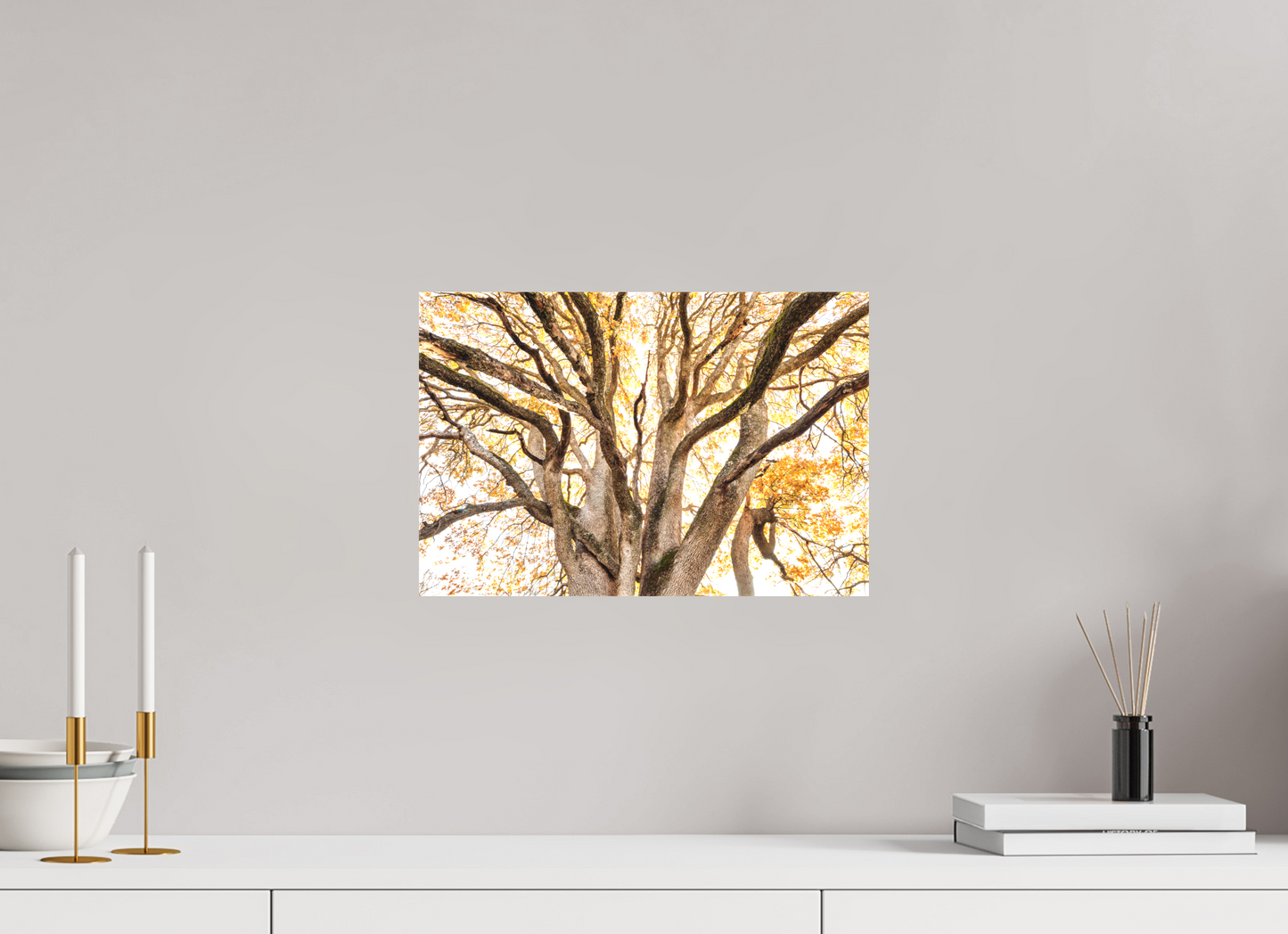 15 x 10″, Matte Canvas on Stretcher Frame Bathed in Light