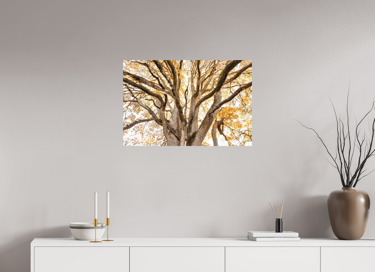 30 x 20″, Fine Art Print Bathed in Light