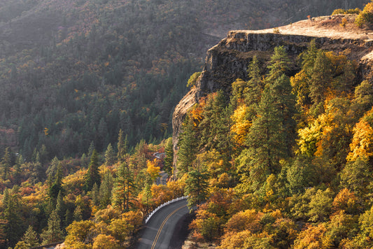 Rowena Crest Oregon fall landscape with golden autumn trees and winding highway through Columbia River Gorge