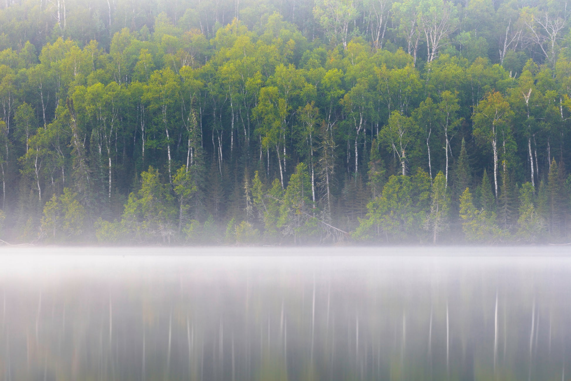 Misty morning over Boundary Waters lake with green forest reflection