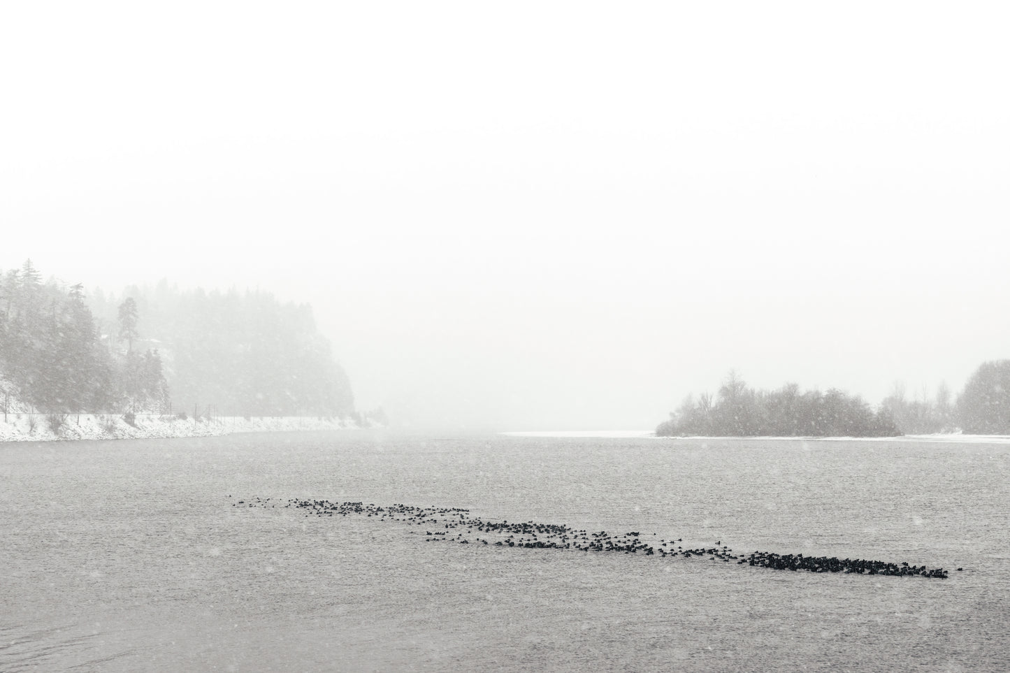 Columbia River winter black and white photography solitude peaceful isolation landscape print