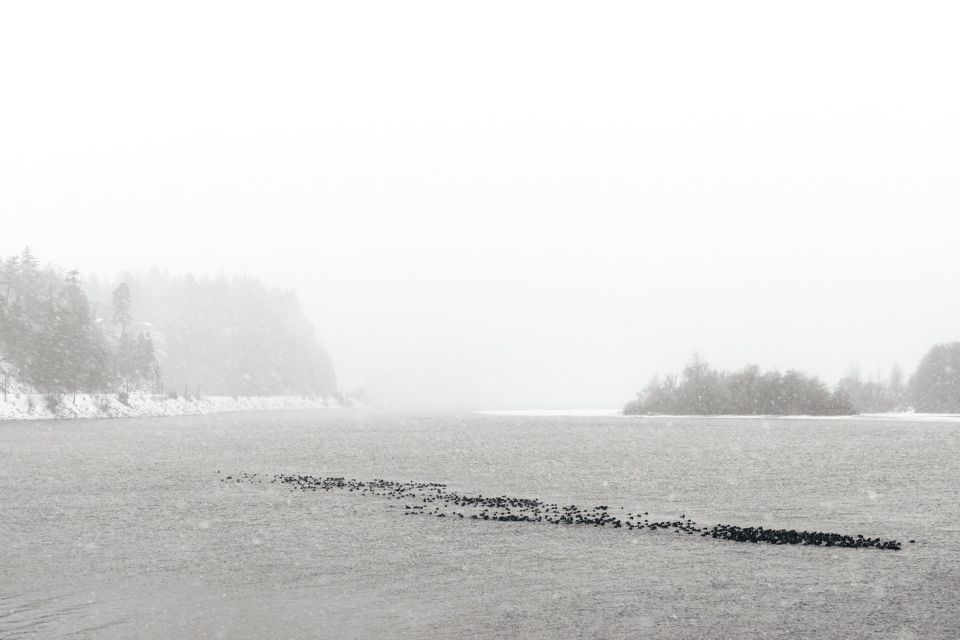 Columbia River winter black and white photography solitude peaceful isolation landscape print