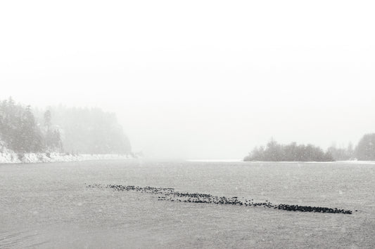 Columbia River winter black and white photography solitude peaceful isolation landscape print