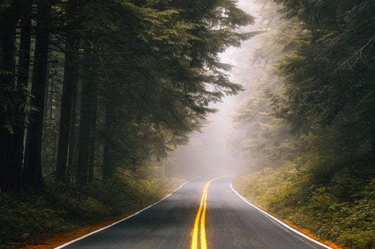 Columbia River Gorge misty forest road photography Oregon evergreen trees fog landscape print
