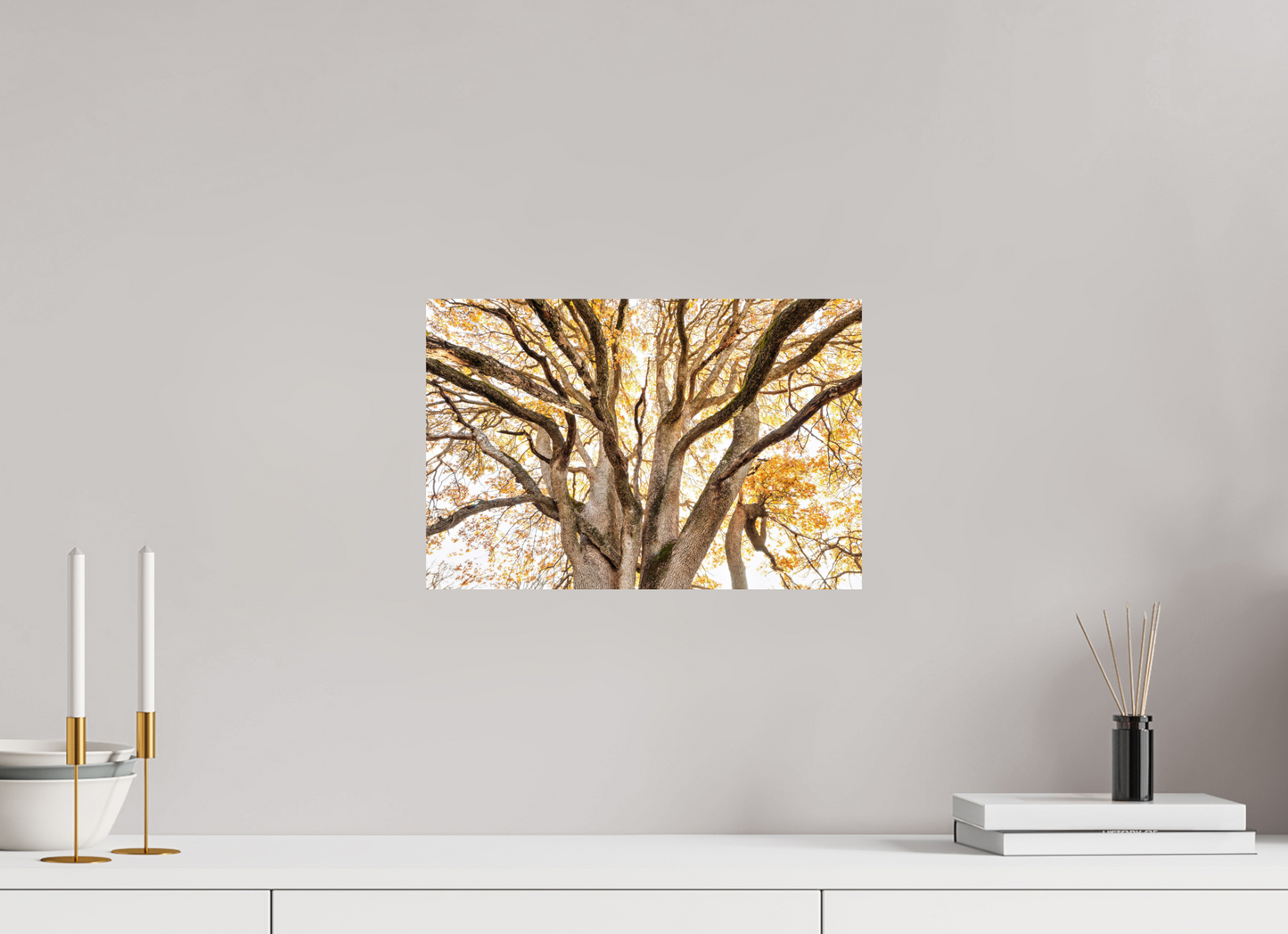 15 x 10″, ChromaLuxe HD Metal Print Bathed in Light